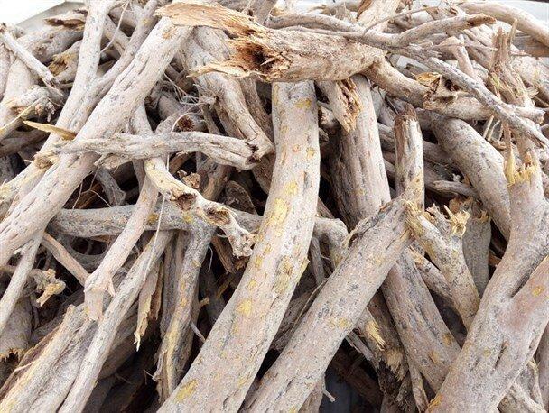 رئیس منابع طبیعی دامغان: 8.4 تن چوب تاغ قاچاق کشف شد