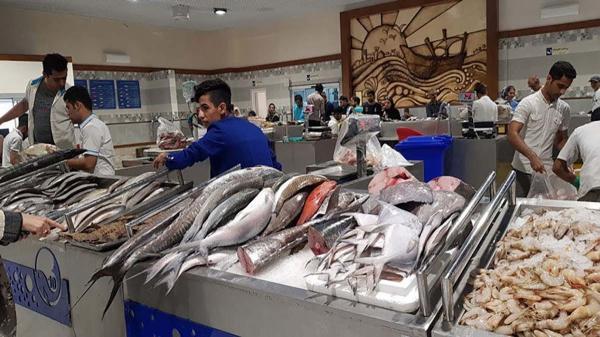 رشد 35درصدی قیمت انواع ماهی در بازه زمانی یک ساله