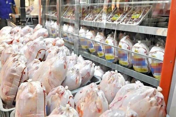 عرضه گسترده مرغ منجمد در بازار ، هر کیلو مرغ منجمد چند؟
